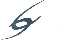 Steel Consultores